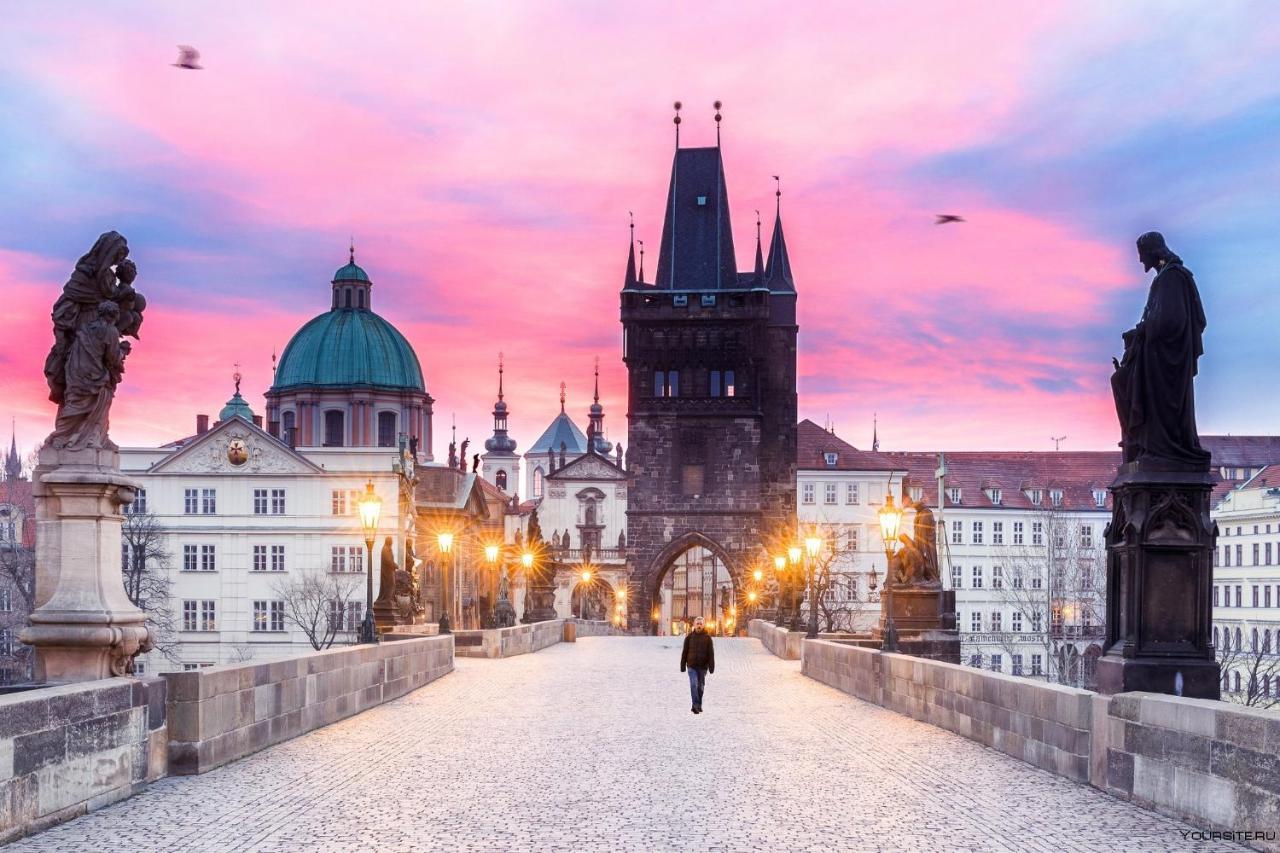 Magnificent King * Prague