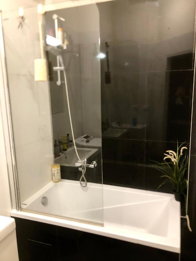 Karlin Cozy Lägenhet Prag