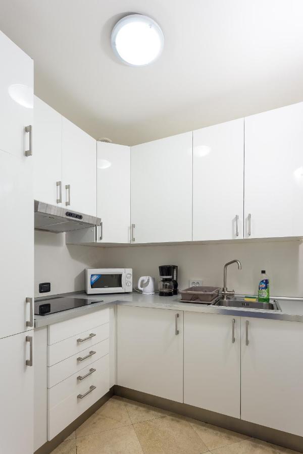 Lägenhet Central 3Bdr Penthouse With Terrace&Ac Prag
