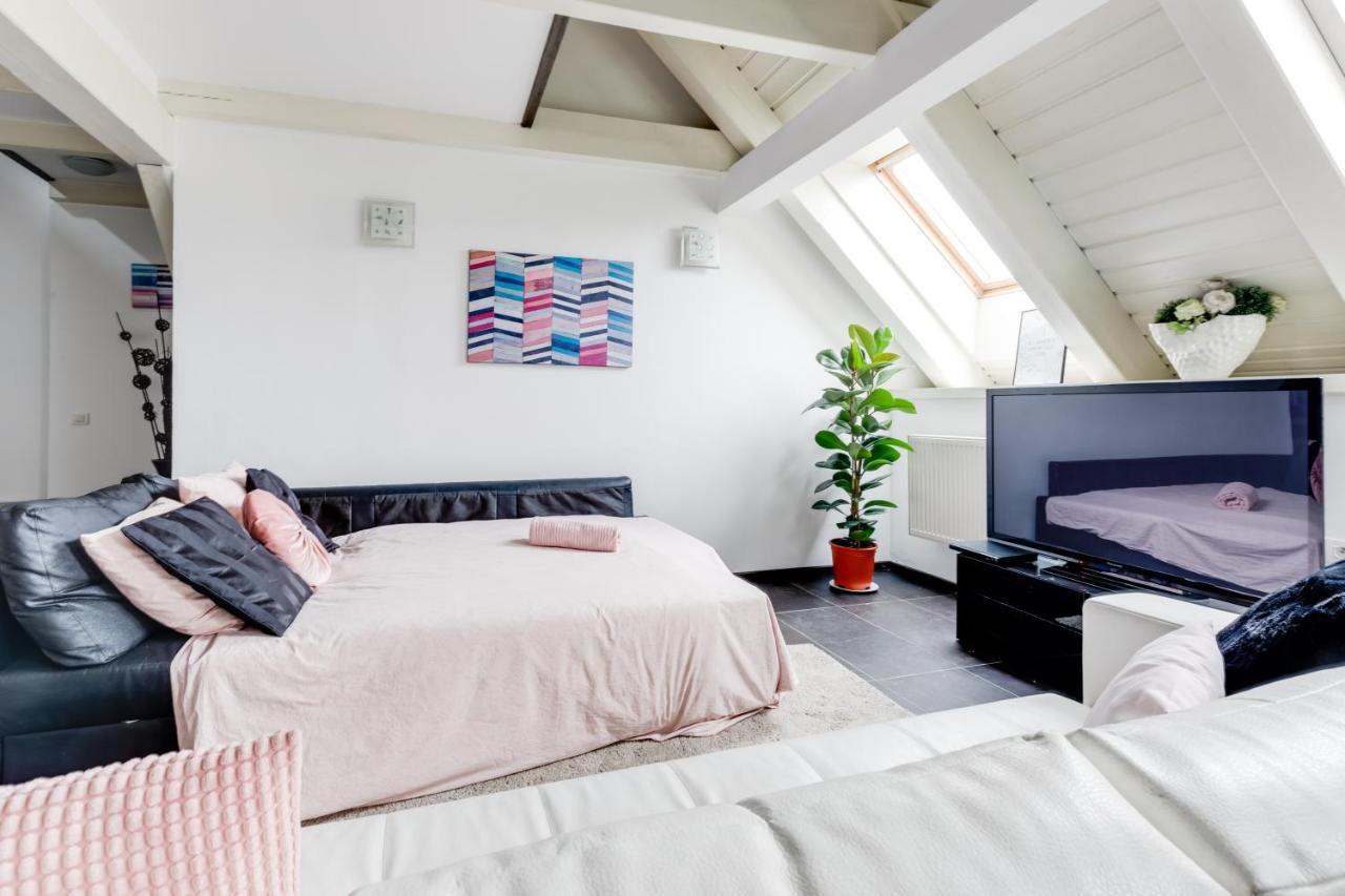 Spacious Stylish Attic In The Heart Of The Center - Karlovo Lejlighed