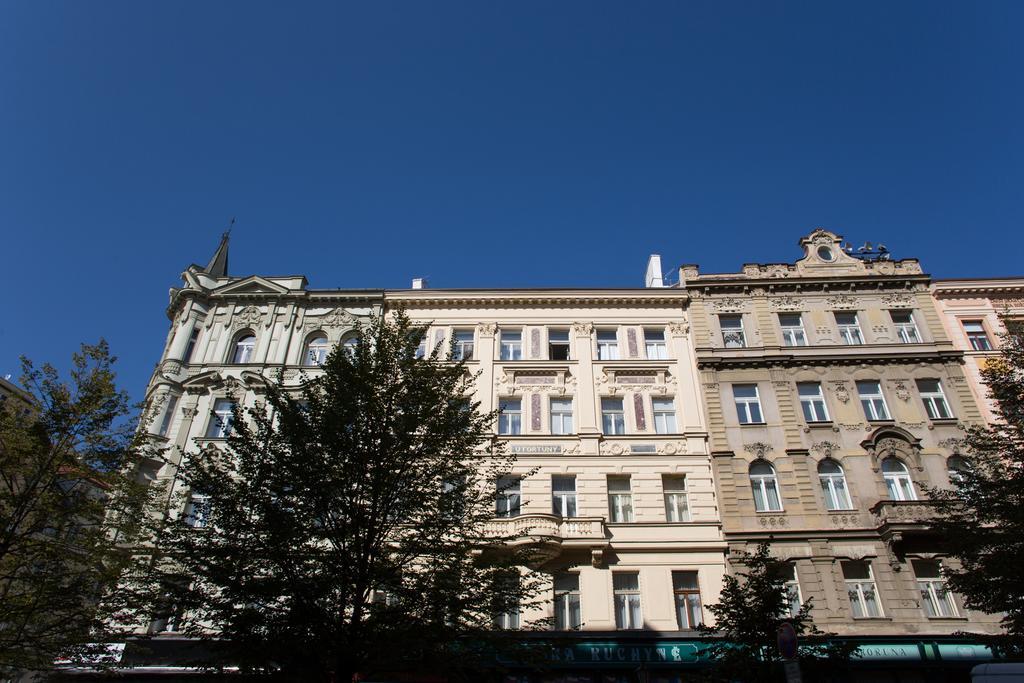 Luxurious Loft Old Town *