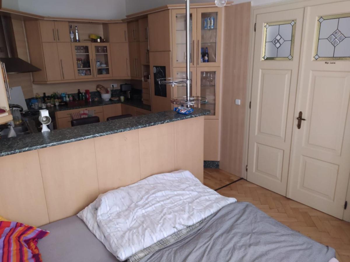 Private In Shared Luxurious Palace Like With 2 Bathrooms Including Whirlpool And Virtual Reality Penzion *