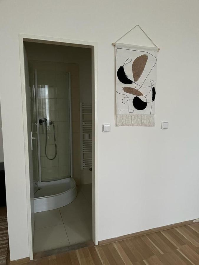 Roomy Close To Palmovka * Prague