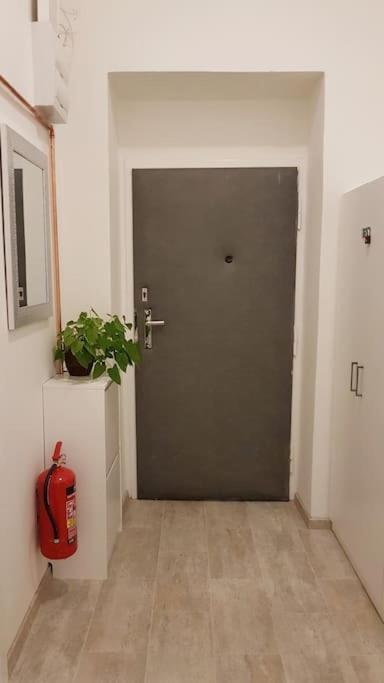 Apartment Finnem