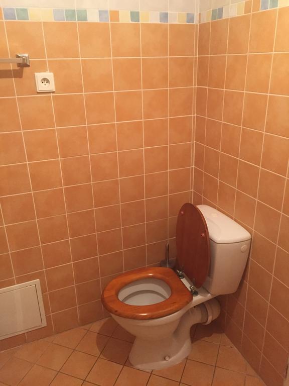 Apartments At The Golden Plough * Prague