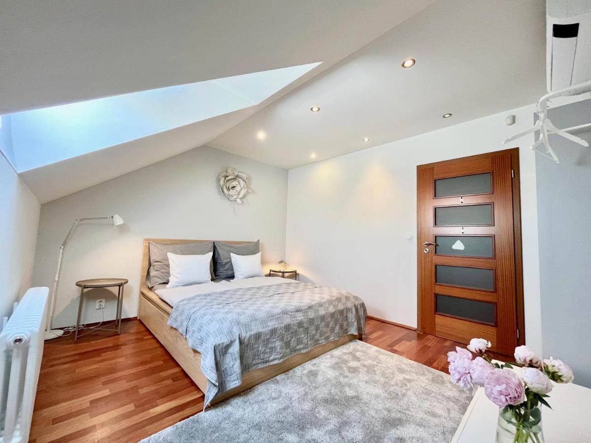 Luxury Penthouse Prag