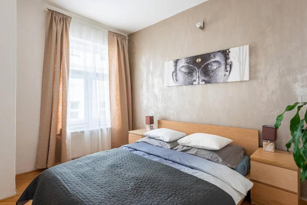 Apartment 2 Bedrooms Near Wenceslas Sq Prag