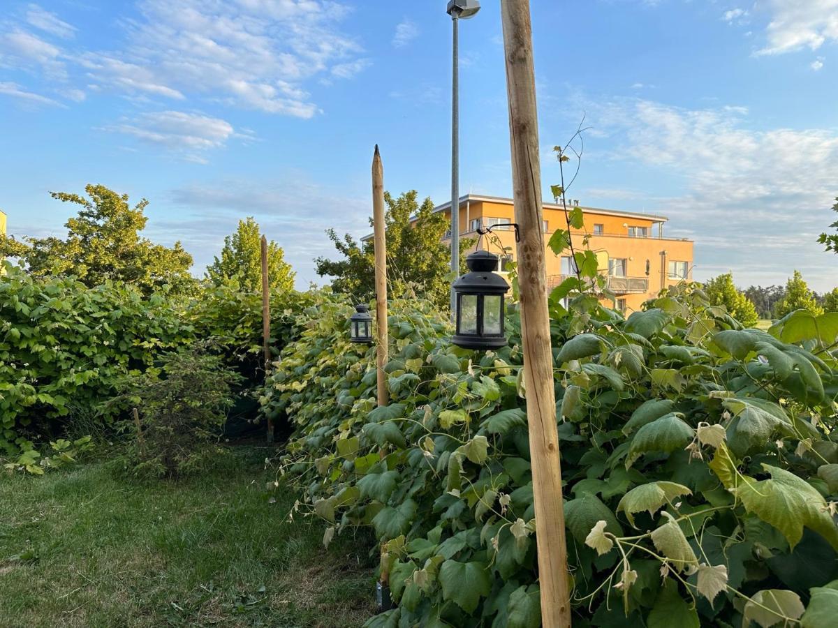 Lejlighed Simple With Garden 15 Min From Center&airport Prag