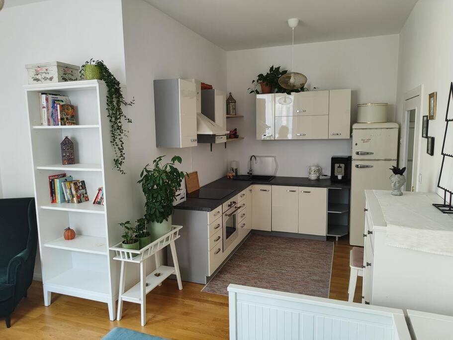 Studio With Balcony In Vinohrady Prag