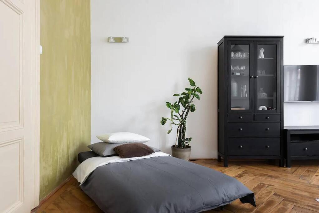 Spacious With Balcony At Wenceslas Sq * Praha