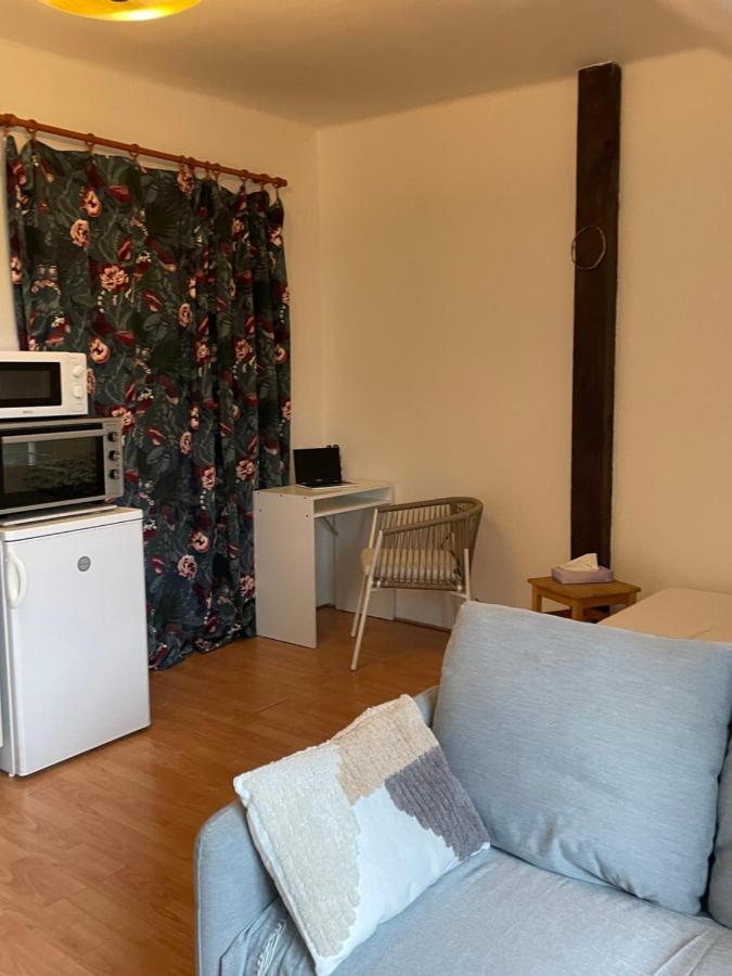 Apartmán Podkrovni Byt 1kk