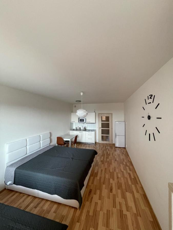 153 - Rezidence Eliska - 9 Apartment