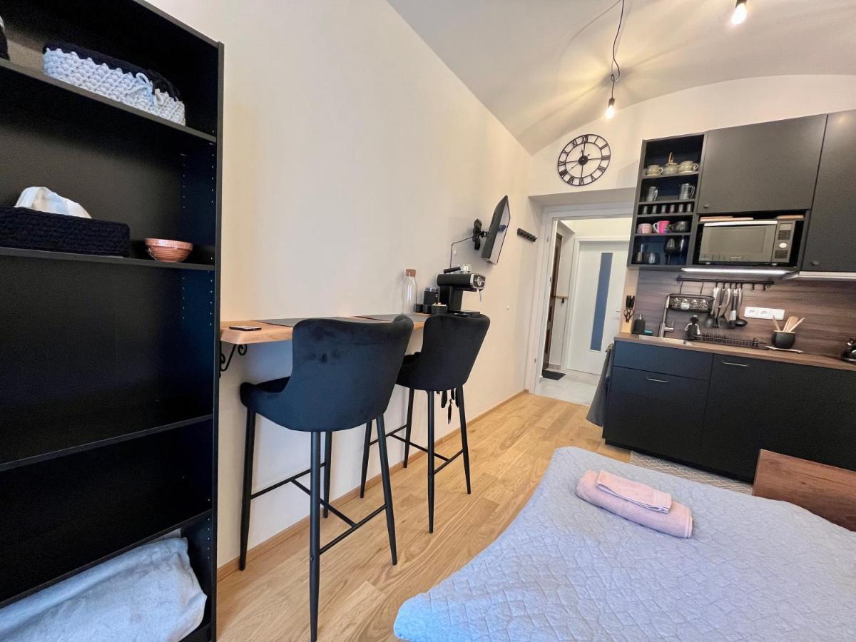 Apartmán V Prizemi S Kuchyni A Koupelnou Praha