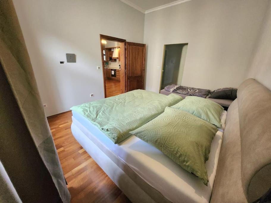 Apartment Spacious 6min From The Dancing House