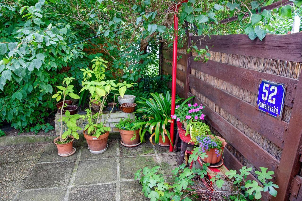 Garden In The Lägenhet *