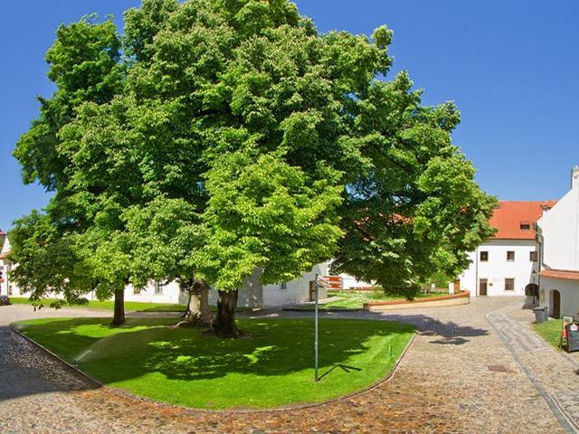 Monastery Hotel 4*