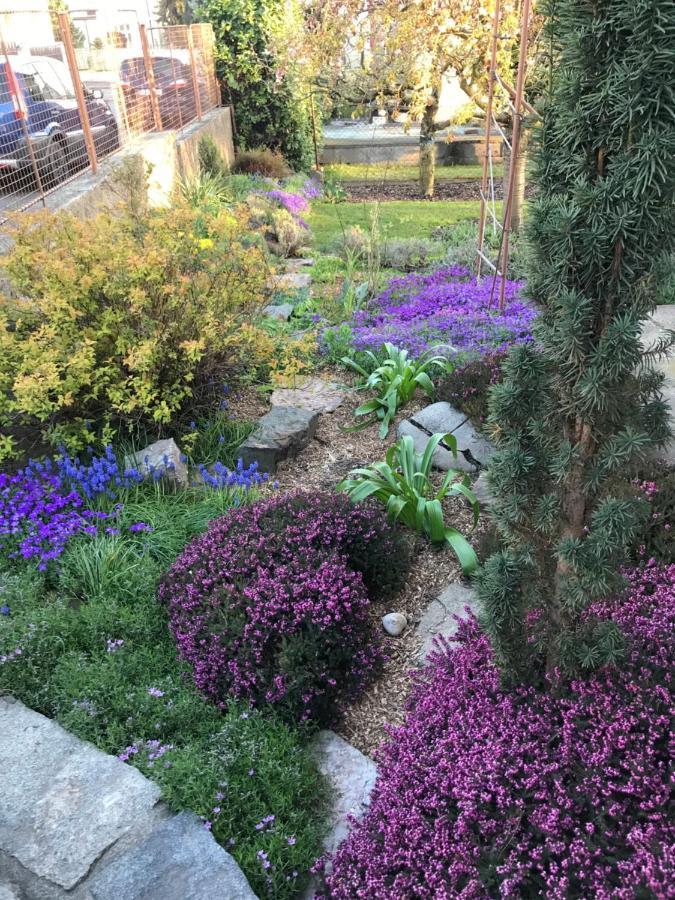 Garden *