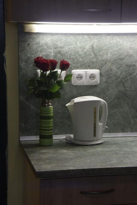 Cosy Warm In The Heart Of Prague. Apartmán Praha