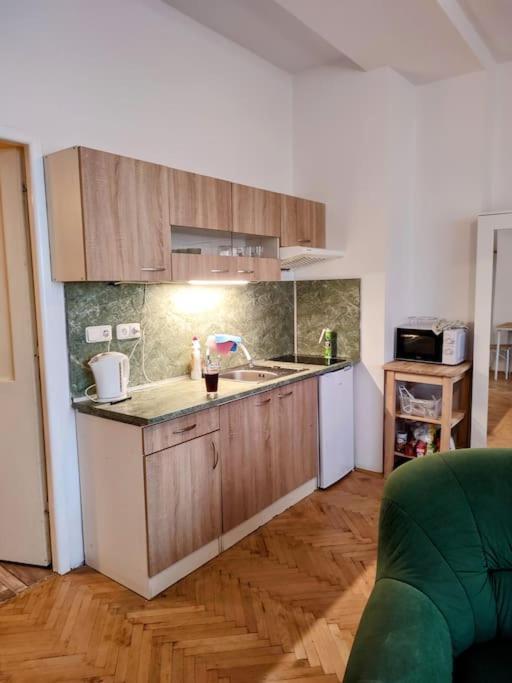 Cosy Warm In The Heart Of Prague. Lejlighed Prag