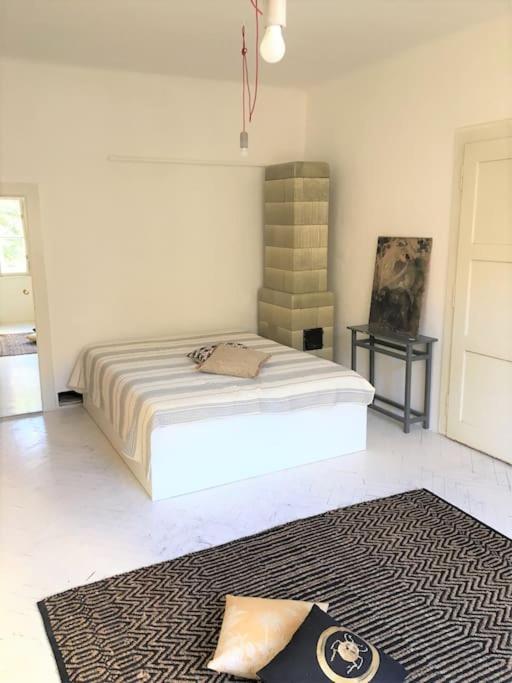 V Srdci Zizkova 3 Apartment Prag