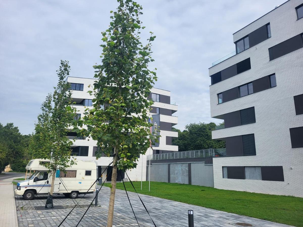 New In Karlin, 8, Close To Center Prag
