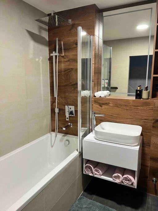 Luxury Pearl With Parking Place In Holesovice Prag