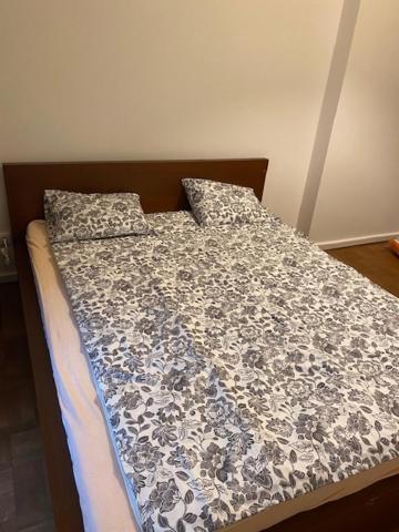 Large 3 Bedroom Family Close To The River Lägenhet Prag
