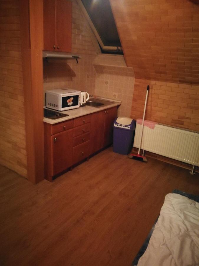 Lejlighed Barrandovska Prag