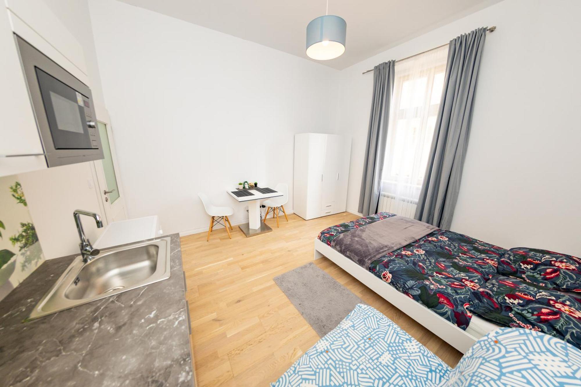 Apartment Wenceslas Square
