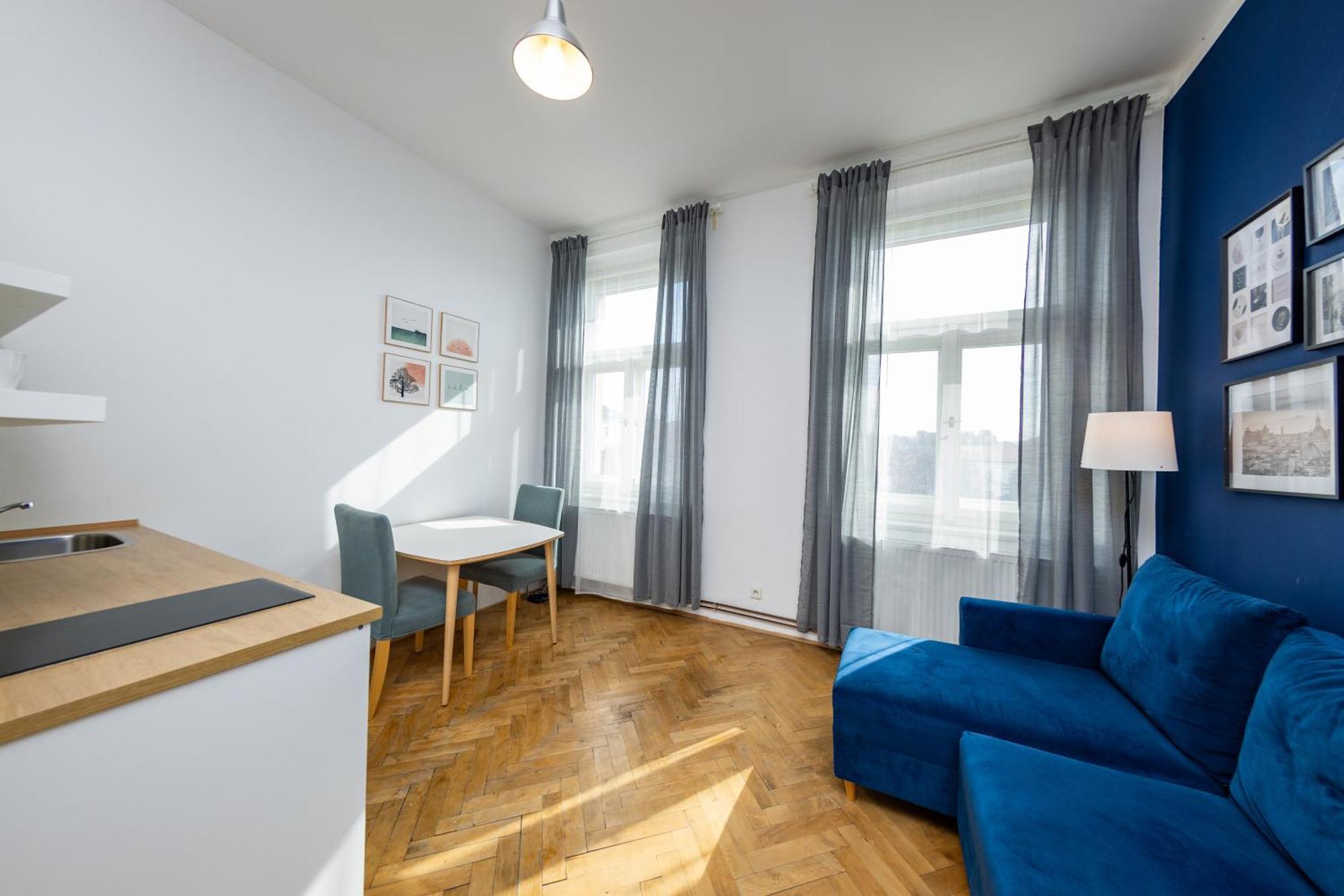 Apartment Petrinska *