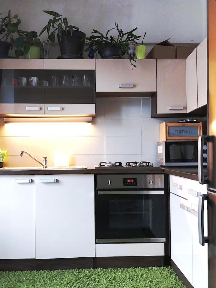 Parking Free One With Netflix In Shared Flat With A Woman In Next And Shared Bathroom And Kitchen No Invoice Homestay