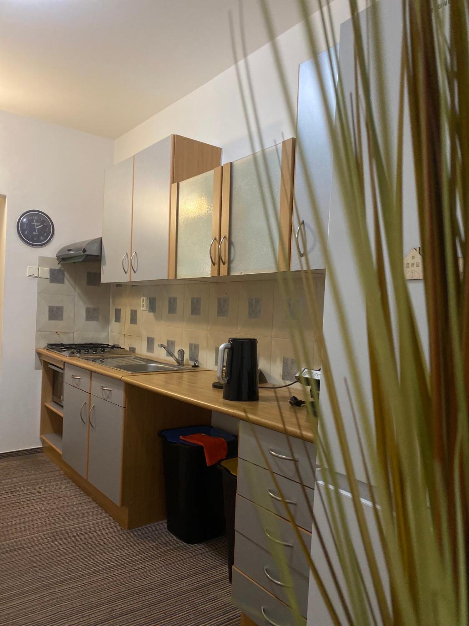 Flat In The House & Dog Friendly *