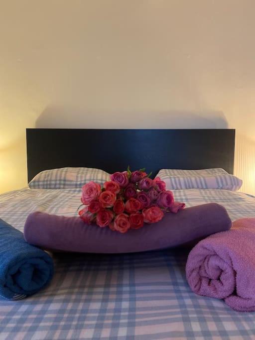 Flat In The House & Dog Friendly Prag