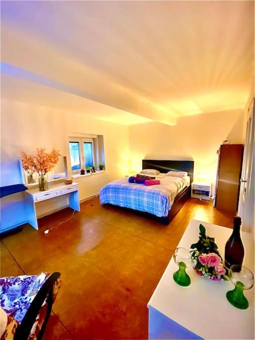 Flat In The House & Dog Friendly Prague