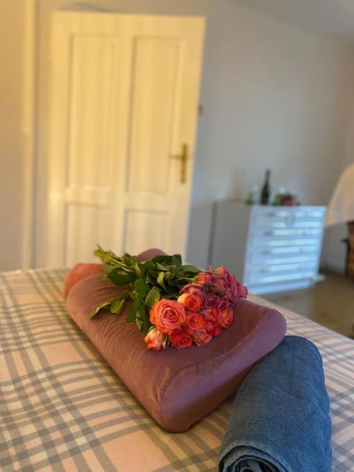 Flat In The House & Dog Friendly *