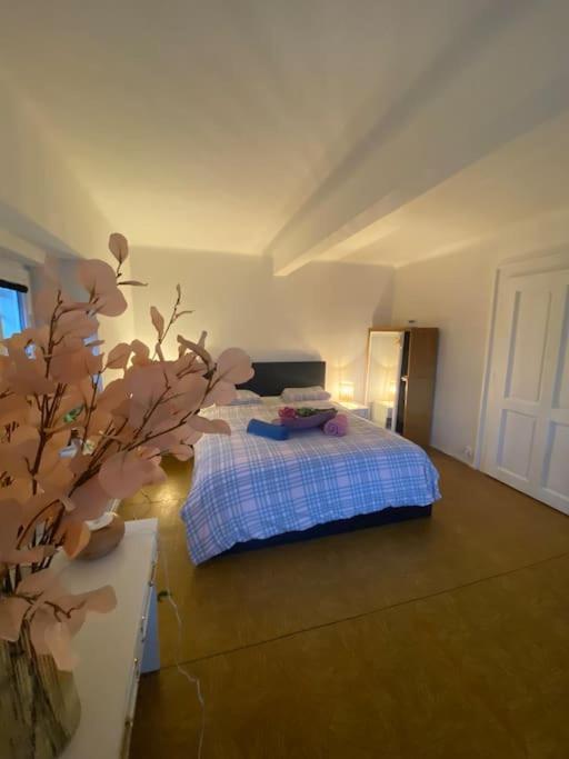 Flat In The House & Dog Friendly Apartment *