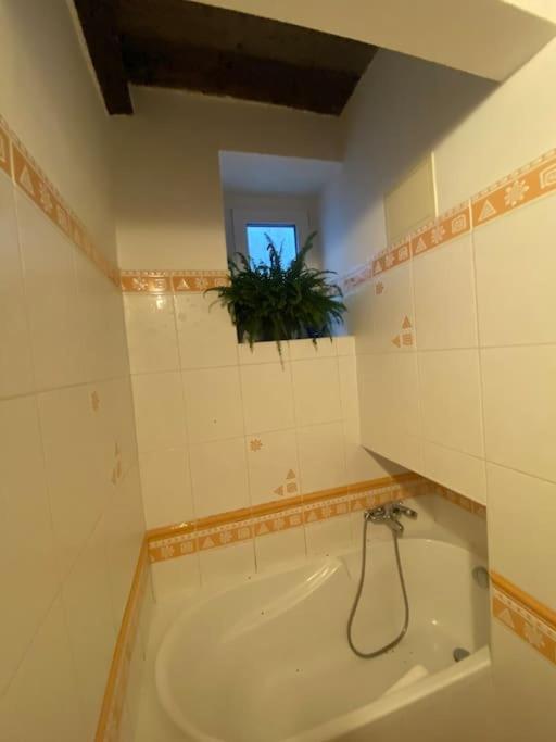 Apartment Flat In The House & Dog Friendly *