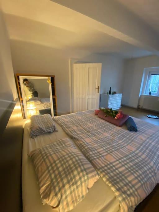 Flat In The House & Dog Friendly *