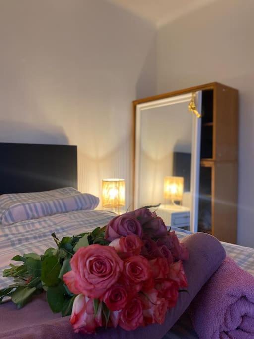Flat In The House & Dog Friendly Apartment