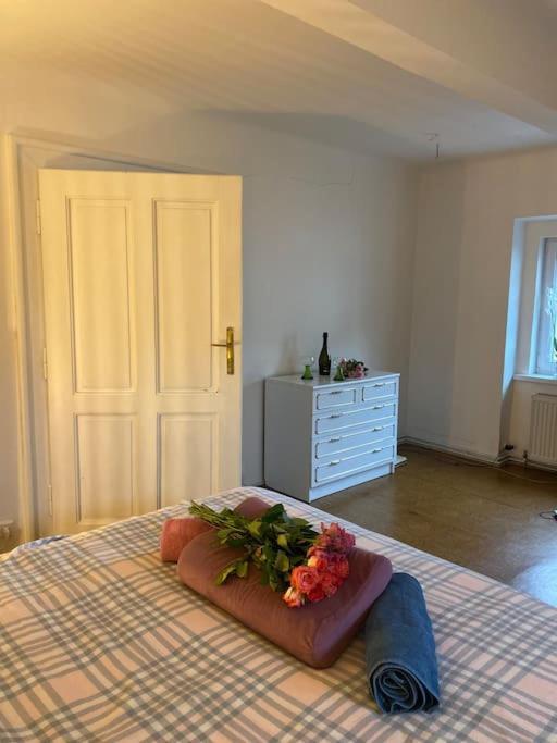 Flat In The House & Dog Friendly *