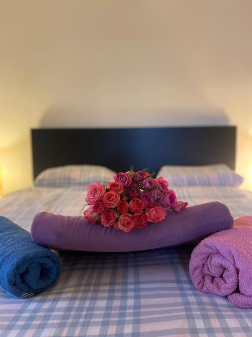 Flat In The House & Dog Friendly *