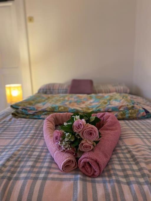 Flat In The House & Dog Friendly