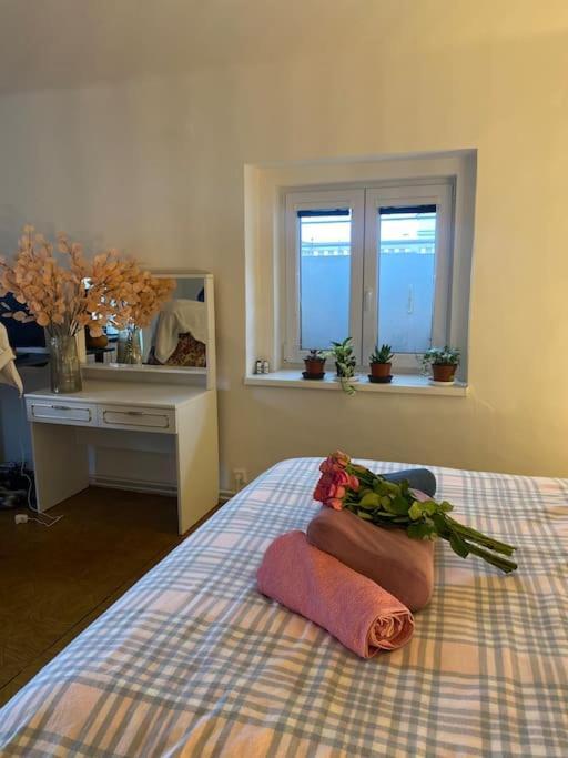 Flat In The House & Dog Friendly Apartment *