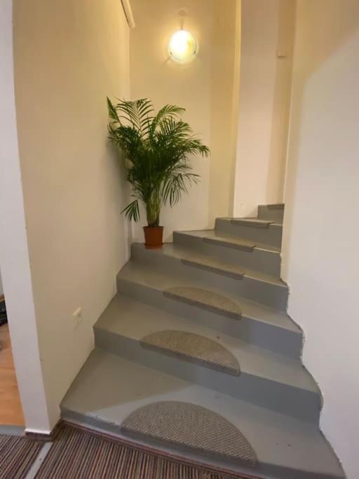 Flat In The House & Dog Friendly * Prague