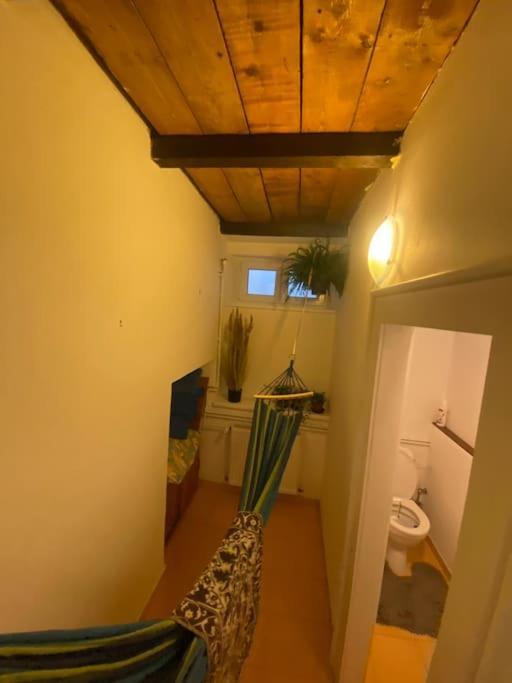 Apartment Flat In The House & Dog Friendly