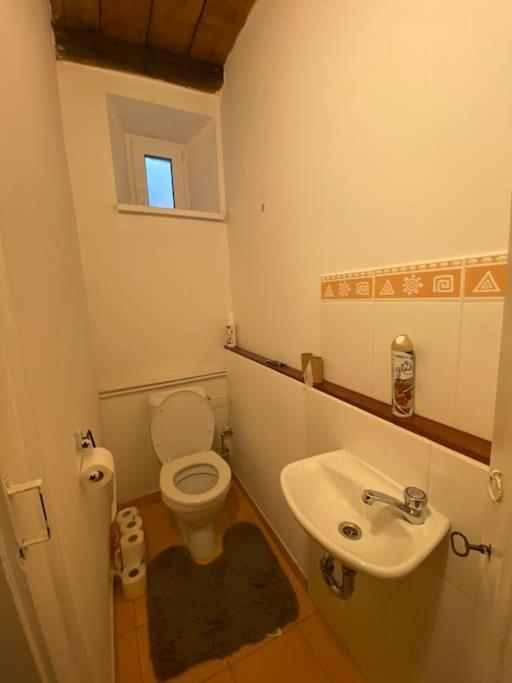 Flat In The House & Dog Friendly Apartment Prague