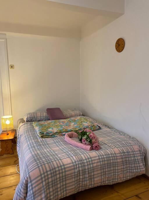 Flat In The House & Dog Friendly *