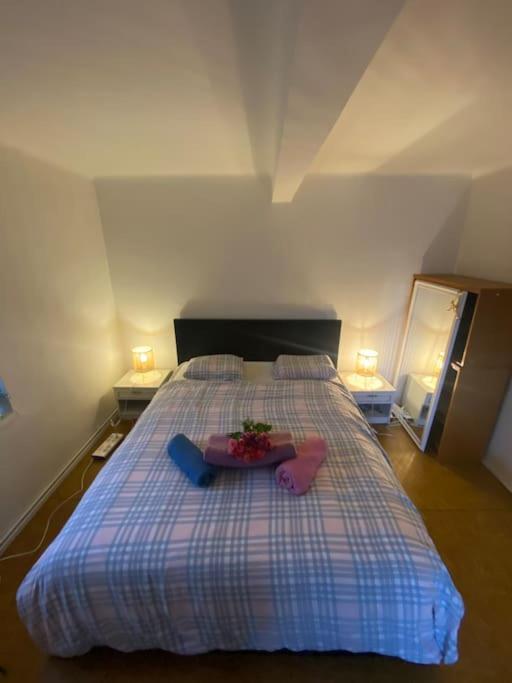 Flat In The House & Dog Friendly Apartment *