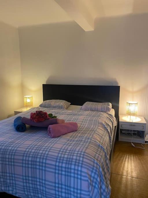 Apartment Flat In The House & Dog Friendly Prague