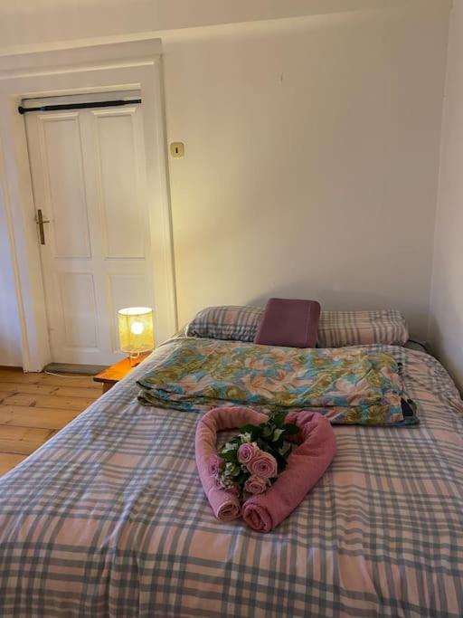 Flat In The House & Dog Friendly Prague